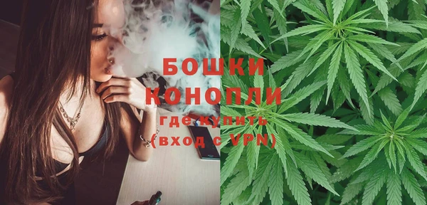 трава Абаза