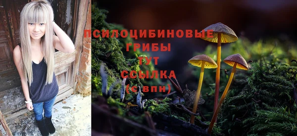 твердый Касимов