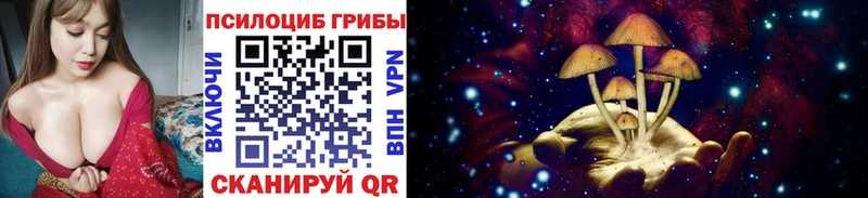 Галлюциногенные грибы прущие грибы  Тетюши 